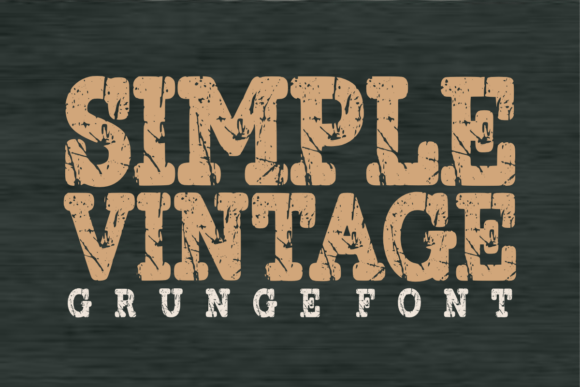 Simple Vintage Font for Bold Display Campaigns
